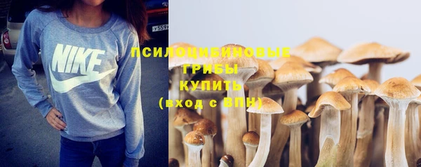 гашиш Абаза
