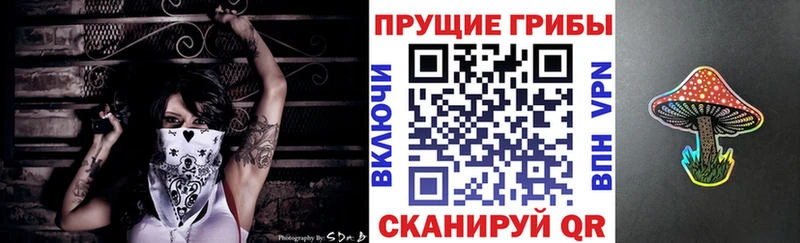 ОМГ ОМГ ONION  продажа наркотиков  Киренск  Псилоцибиновые грибы мицелий 